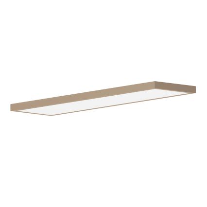 Brilagi - LED plafonsko svetlo za kupatilo FRAME LED/50W/230V 120x30 cm IP44 bež