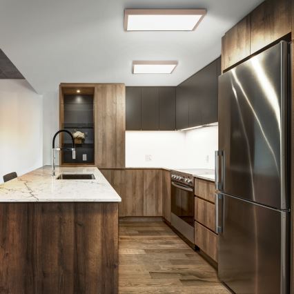 Brilagi - LED plafonsko svetlo za kupatilo FRAME LED/50W/230V 60x60 cm IP44 bež