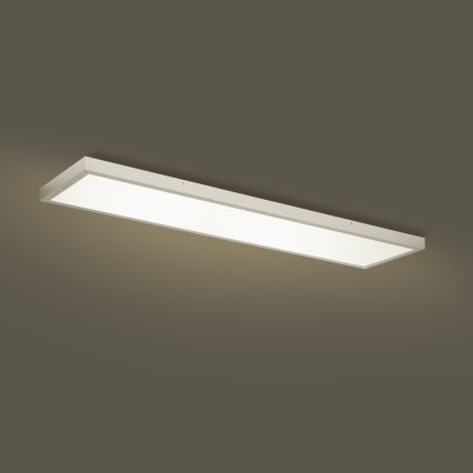 Brilagi - LED plafonsko svetlo za kupatilo FRAME LED/50W/230V 3000/4000/6000K 120x30 cm IP44 srebrno