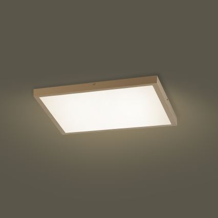 Brilagi - LED prigušiva plafonska svetiljka za kupatilo FRAME SMART LED/50W/230V 60x60 cm 3000-6000K IP44 bež + daljinski upravljač