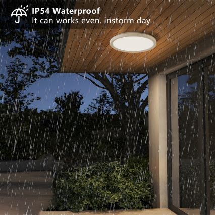 Brilagi - LED kupatilsko stropno svetlo ULTRA SLIM LED/12W/230V Ø 22,5 cm bela IP54