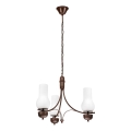 Brilagi - LED Luster na lancu COTTAGE 3xE14/40W/230V hrast/bela