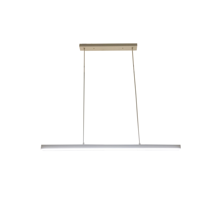 Brilagi - LED luster na sajli AXIS LED/30W/230V 120 cm, bela