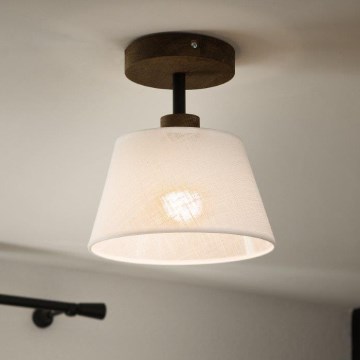 Brilagi - LED  Nadgradni luster ANTHONY 1xE14/60W/230V hrast/bela