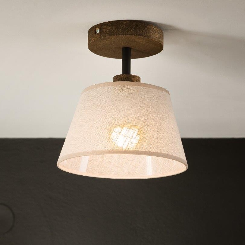 Brilagi - LED  Nadgradni luster ANTHONY 1xE14/60W/230V hrast/bež
