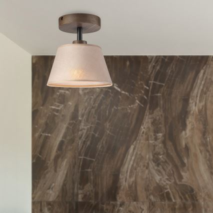 Brilagi - LED  Nadgradni luster ANTHONY 1xE14/60W/230V hrast/bež