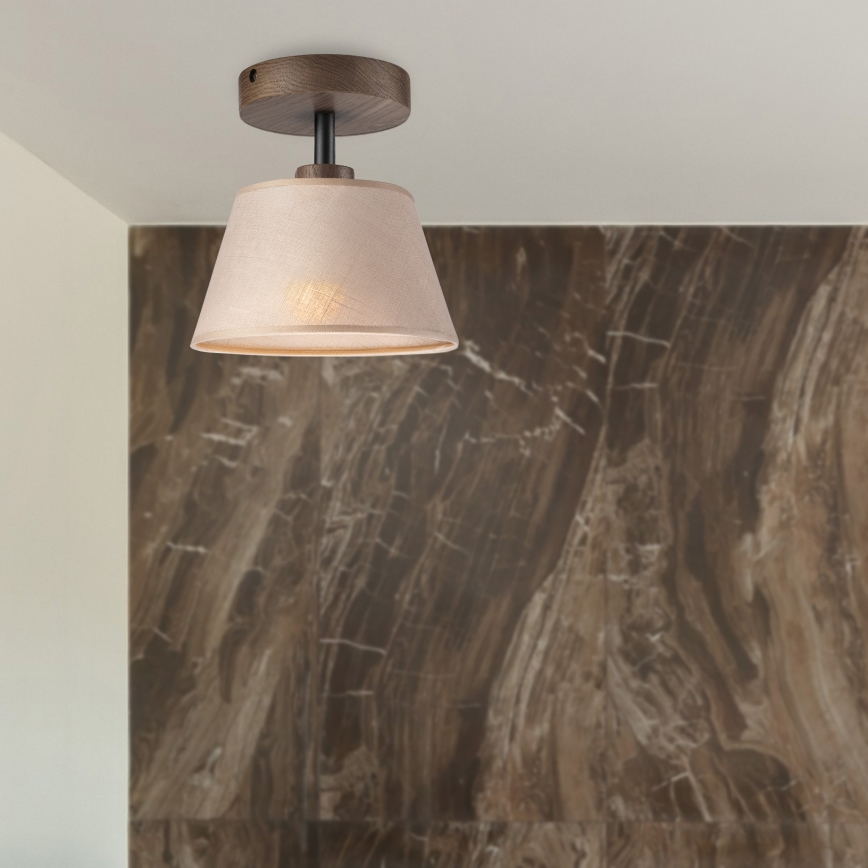 Brilagi - LED  Nadgradni luster ANTHONY 1xE14/60W/230V hrast/bež