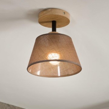 Brilagi - LED  Nadgradni luster ANTHONY 1xE14/60W/230V hrast/braon