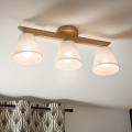 Brilagi - LED  Nadgradni luster ANTHONY 3xE14/40W/230V hrast/bela