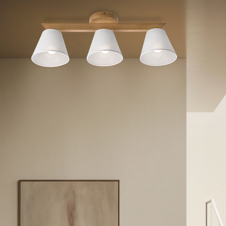 Brilagi - LED  Nadgradni luster ANTHONY 3xE14/40W/230V hrast/bela