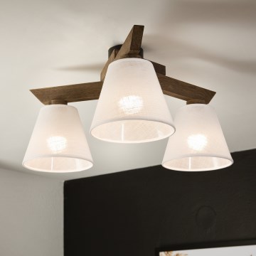 Brilagi - LED  Nadgradni luster ANTHONY 3xE14/40W/230V hrast/bela