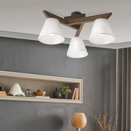 Brilagi - LED  Nadgradni luster ANTHONY 3xE14/40W/230V hrast/bela