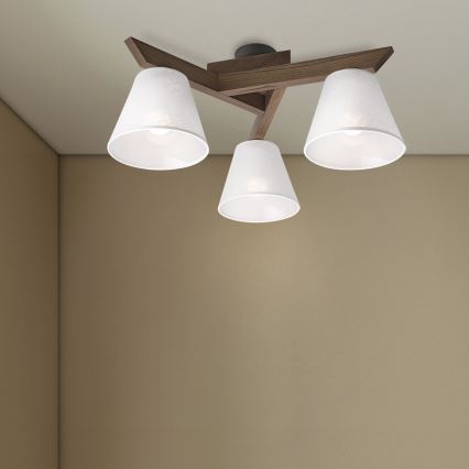 Brilagi - LED  Nadgradni luster ANTHONY 3xE14/40W/230V hrast/bela