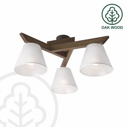 Brilagi - LED  Nadgradni luster ANTHONY 3xE14/40W/230V hrast/bela