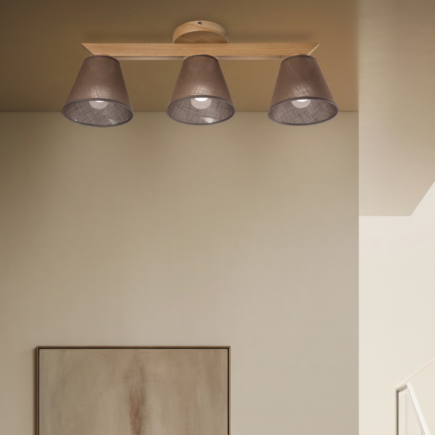 Brilagi - LED  Nadgradni luster ANTHONY 3xE14/40W/230V hrast/braon