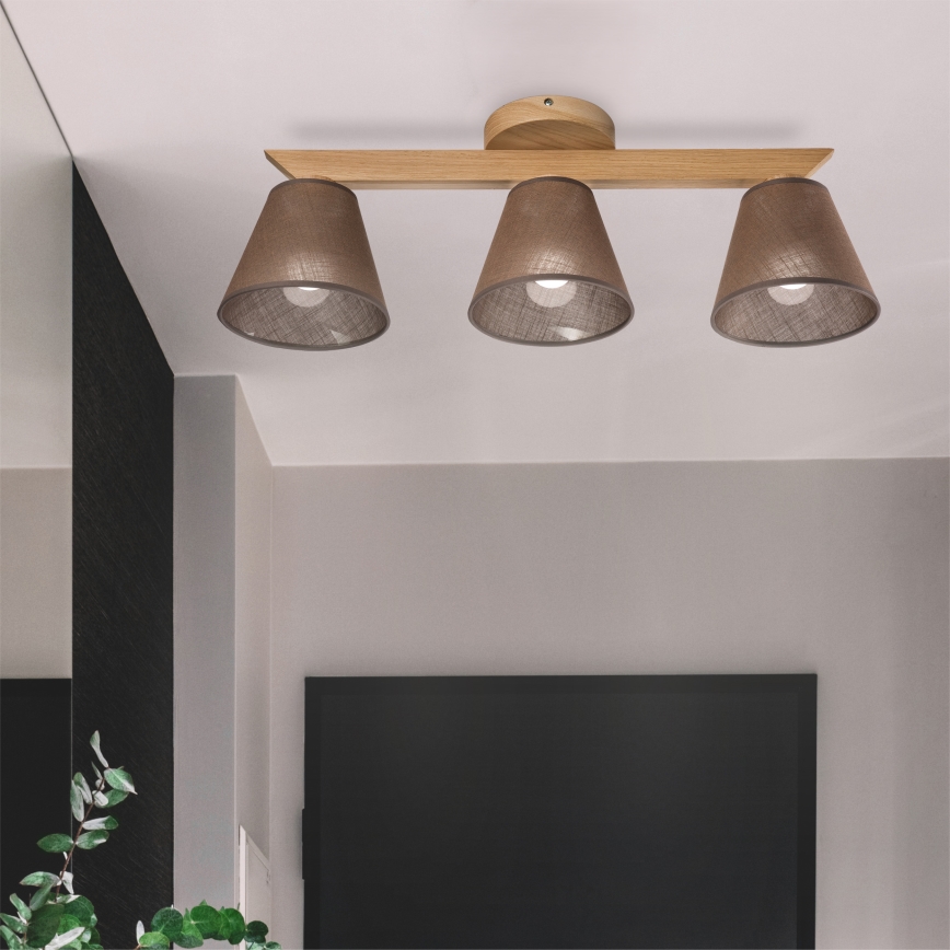Brilagi - LED  Nadgradni luster ANTHONY 3xE14/40W/230V hrast/braon