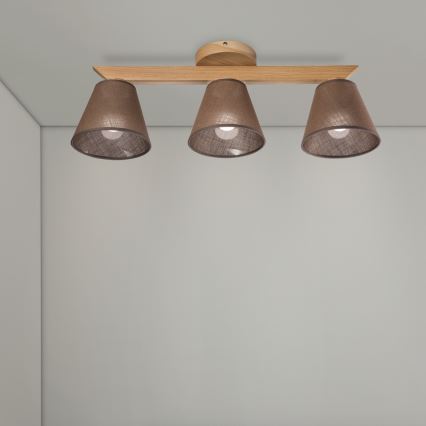 Brilagi - LED  Nadgradni luster ANTHONY 3xE14/40W/230V hrast/braon