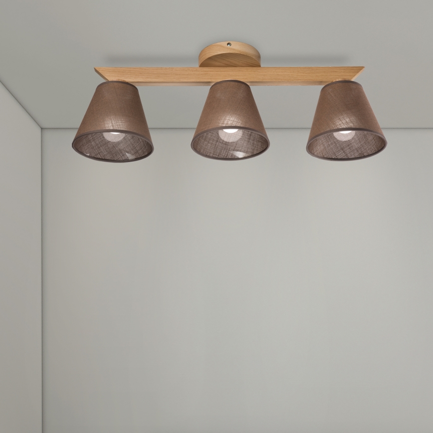 Brilagi - LED  Nadgradni luster ANTHONY 3xE14/40W/230V hrast/braon