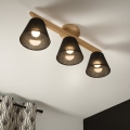 Brilagi - LED  Nadgradni luster ANTHONY 3xE14/40W/230V hrast/crno