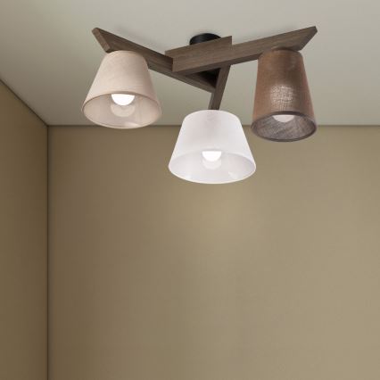 Brilagi - LED  Nadgradni luster ANTHONY 3xE14/40W/230V hrast