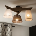 Brilagi - LED  Nadgradni luster ANTHONY 3xE14/40W/230V hrast