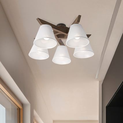 Brilagi - LED  Nadgradni luster ANTHONY 5xE14/40W/230V hrast/bela