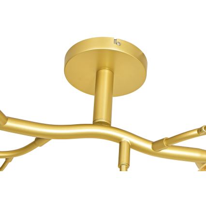 Brilagi - LED Nadgradni luster MISTEL 15xG9/3W/230V zlatna/bela