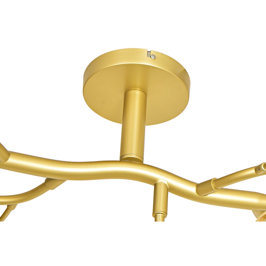 Brilagi - LED Nadgradni luster MISTEL 15xG9/3W/230V zlatna/bela