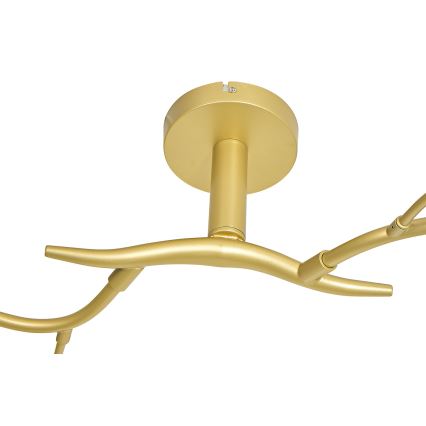 Brilagi - LED Nadgradni luster MISTEL 6xG9/3W/230V zlatna/bela