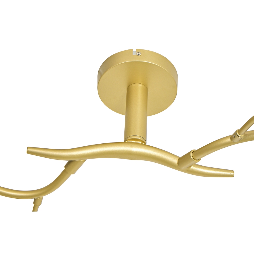 Brilagi - LED Nadgradni luster MISTEL 6xG9/3W/230V zlatna/bela