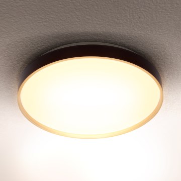 Brilagi - LED Plafonjera CALA LED/24W/230V