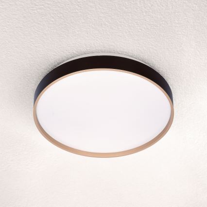 Brilagi - LED Plafonjera CALA LED/24W/230V