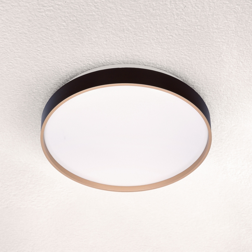 Brilagi - LED Plafonjera CALA LED/24W/230V