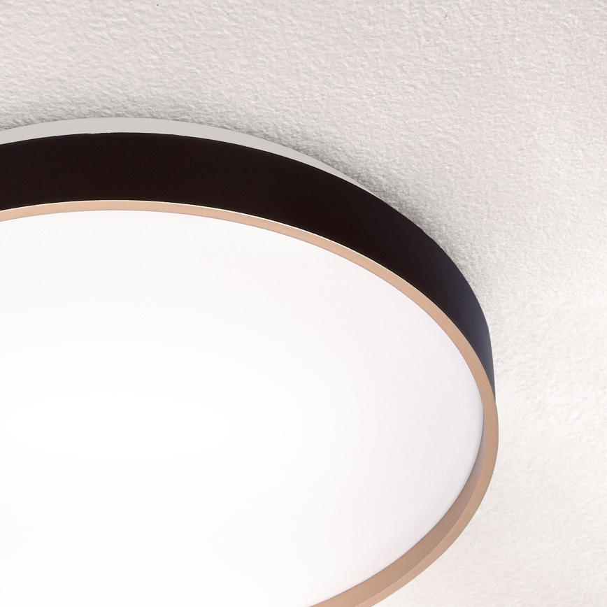 Brilagi - LED Plafonjera CALA LED/24W/230V