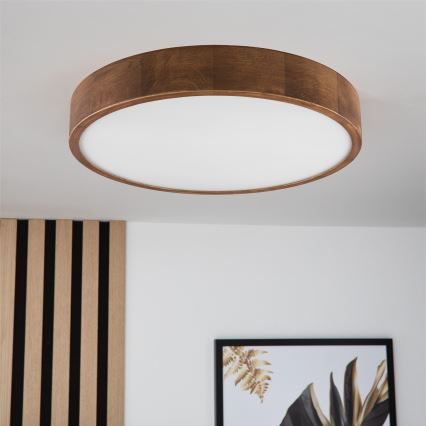 Brilagi - LED Plafonjera CARVALHO 3xE27/60W/230V hrast pr. 47 cm