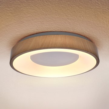 Brilagi - LED Plafonjera DORIA LED/24W/230V