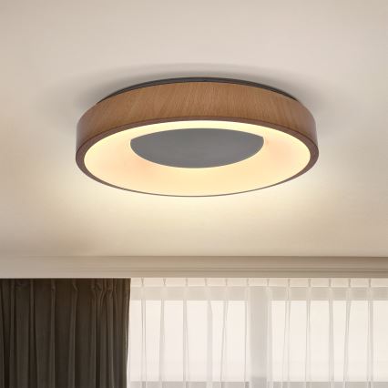 Brilagi - LED Plafonjera DORIA LED/24W/230V
