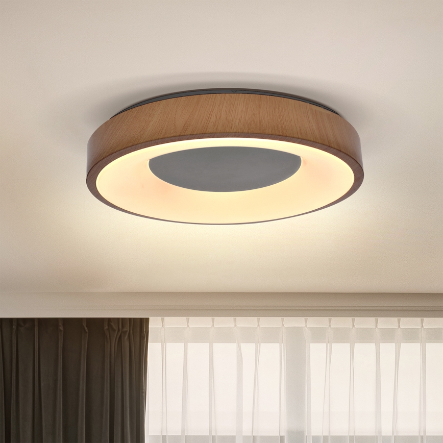 Brilagi - LED Plafonjera DORIA LED/24W/230V