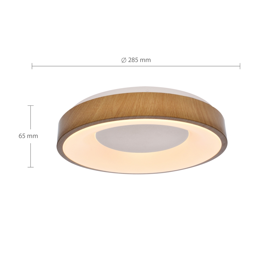 Brilagi - LED Plafonjera DORIA LED/24W/230V