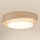 Brilagi - LED Plafonjera DOVER SHINE LED/26W/230V pr. 60 cm sivo/kremasta