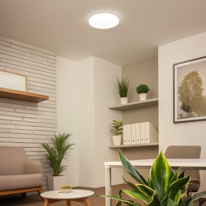Brilagi - LED plafonjera OPAL LED/24W/230V