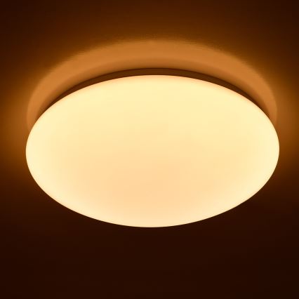 Brilagi - LED plafonjera OPAL LED/24W/230V