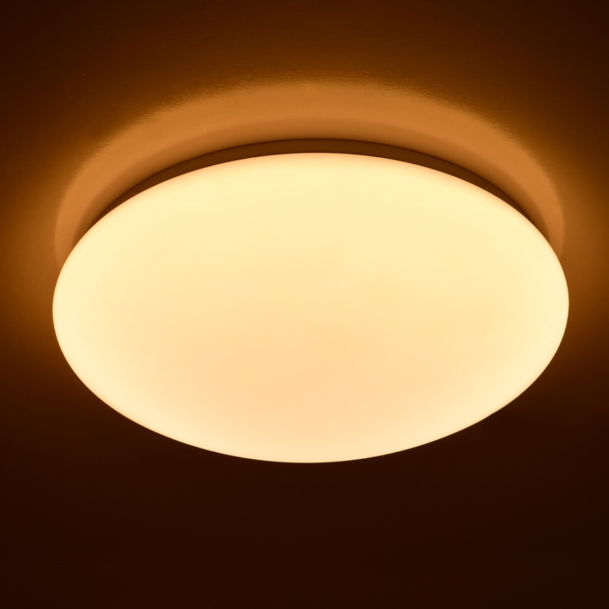 Brilagi - LED plafonjera OPAL LED/24W/230V