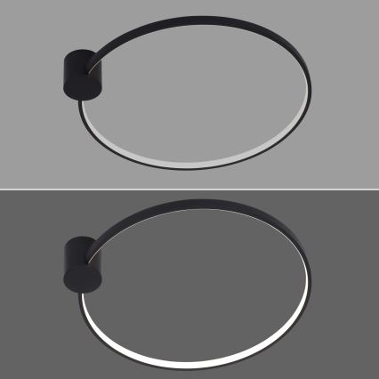 Brilagi - LED plafonsko svetlo RINGO LED/18W/230V prečnik 50 cm