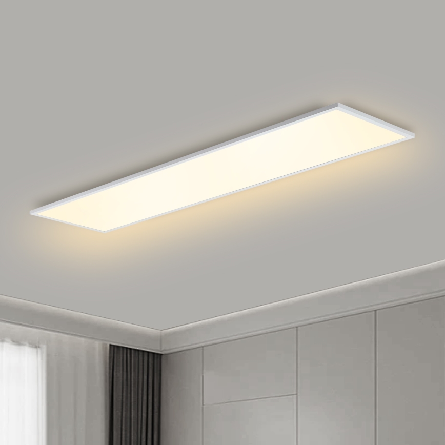 Brilagi - LED Plafonjera SLIMFRAME LED/58W/230V 120x30 cm bela