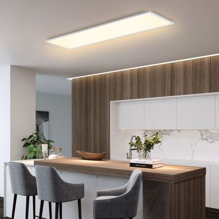 Brilagi - LED Plafonjera SLIMFRAME LED/58W/230V 120x30 cm bela
