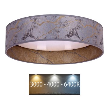 Brilagi - LED Plafonjera VELVET LED/12W/230V pr. 30 cm 3000K/4000K/6400K sivo/zlatna