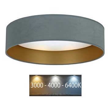 Brilagi - LED plafonjera VELVET LED/12W/230V prečnik 30 cm 3000K/4000K/6400K mint/zlatna