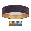 Brilagi - LED plafonjera VELVET STAR LED/24W/230V prečnika 40 cm 3000K/4000K/6400K siva/zlatna
