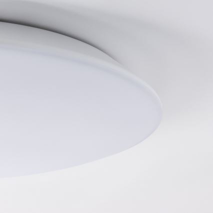Brilagi - LED Plafonjera VESTAS LED/18W/230V 3000K IP54